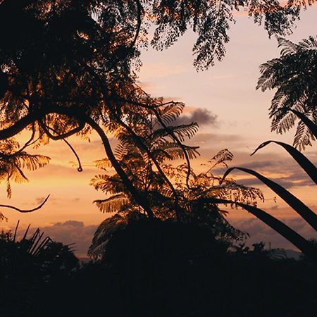 Kampala Forest Resort - Kfr Lodge Dış mekan fotoğraf