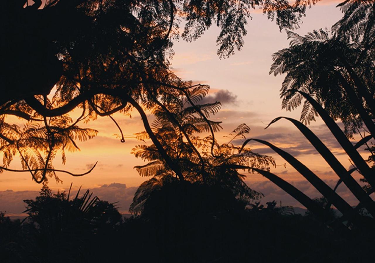 Kampala Forest Resort - Kfr Lodge Dış mekan fotoğraf